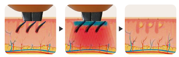 Product Detail Image