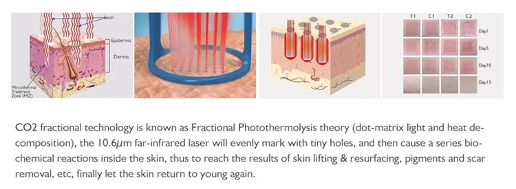 Product Detail Image